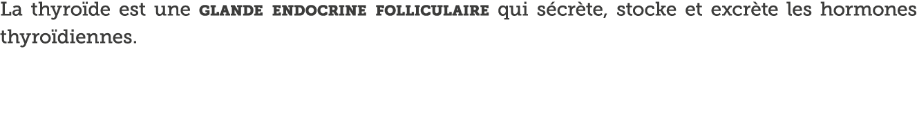 La thyro de est une glande endocrine folliculaire qui s cr te, stocke et excr te les hormones thyro diennes  