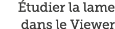  tudier la lame dans le Viewer