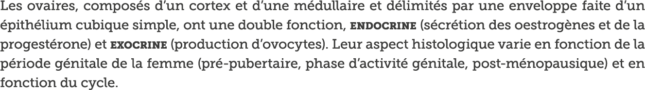 Les ovaires, compos s d un cortex et d une m dullaire et d limit s par une enveloppe faite d un  pith lium cubique si   