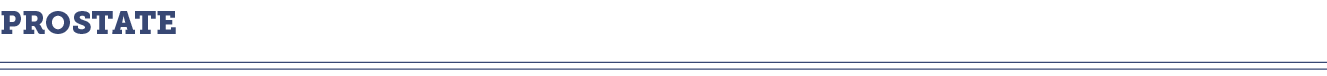Prostate