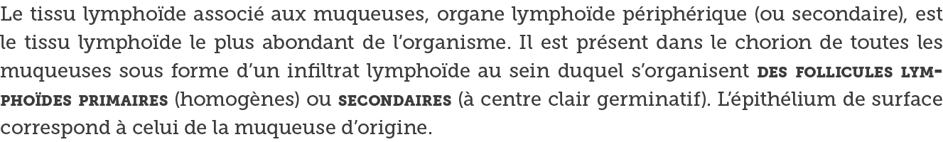 Le tissu lympho de associ  aux muqueuses, organe lympho de p riph rique (ou secondaire), est le tissu lympho de le pl   