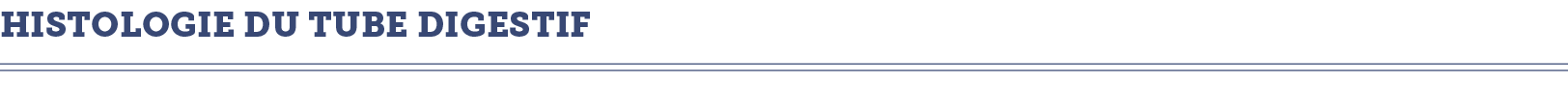 HISTOLOGIE DU TUBE DIGESTIF 