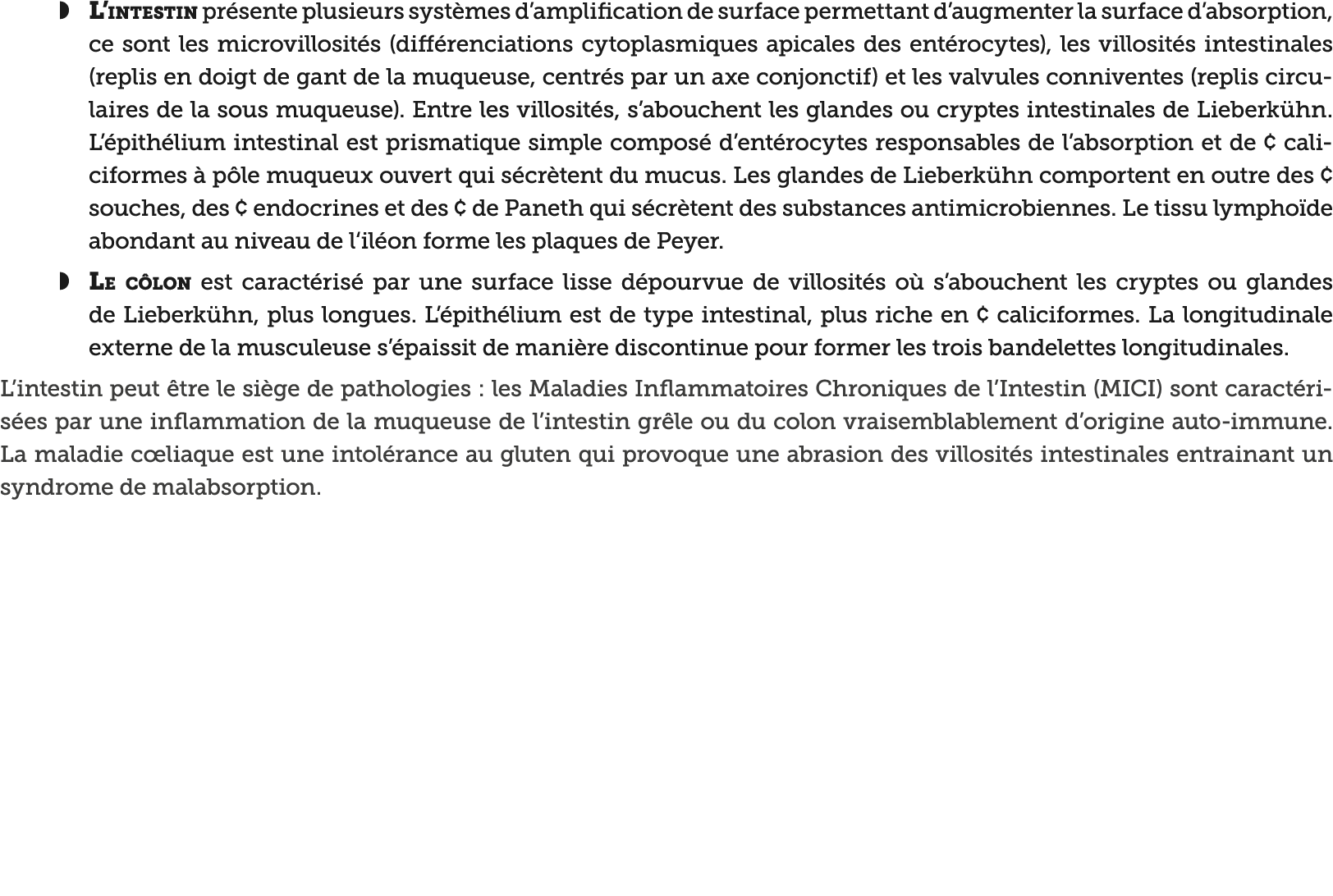 L intestin pr sente plusieurs syst mes d amplification de surface permettant d augmenter la surface d absorption, ce    