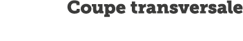 Coupe transversale