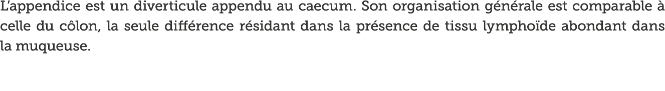 L appendice est un diverticule appendu au caecum  Son organisation g n rale est comparable   celle du c lon, la seule   