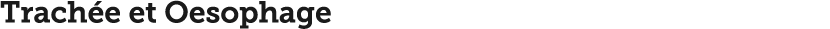 Trach e et Oesophage