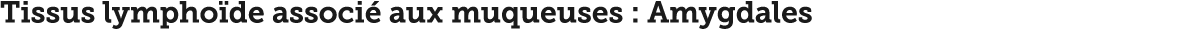 Tissus lympho de associ  aux muqueuses : Amygdales
