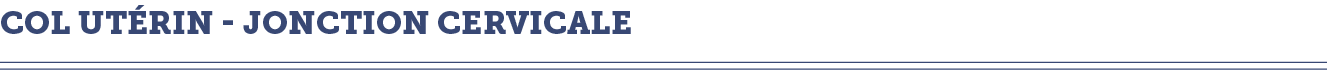Col ut rin - jonction cervicale