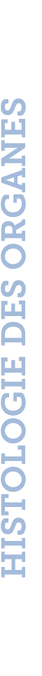 HISTOLOGIE des organes
