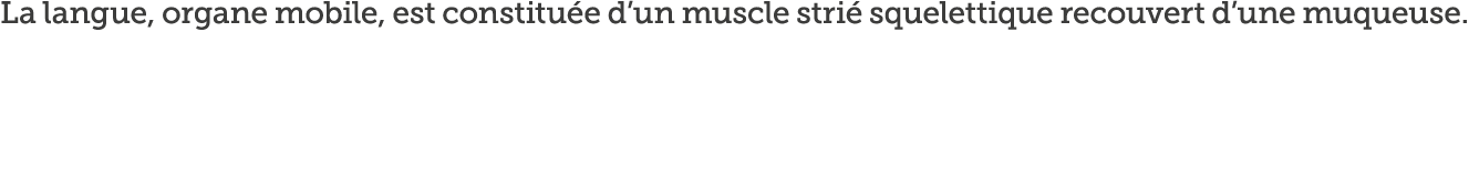 La langue, organe mobile, est constitu e d un muscle stri  squelettique recouvert d une muqueuse  