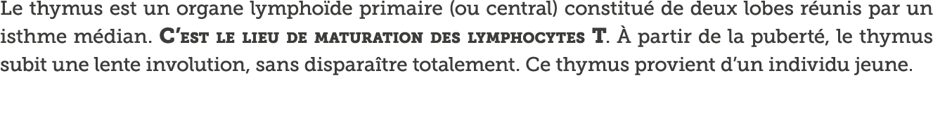 Le thymus est un organe lympho de primaire (ou central) constitu  de deux lobes r unis par un isthme m dian  C est le   