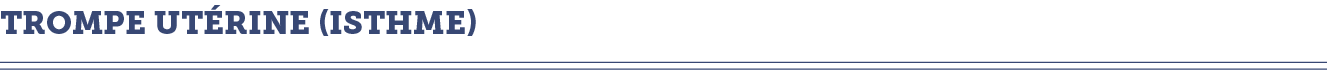 trompe ut rine (isthme)