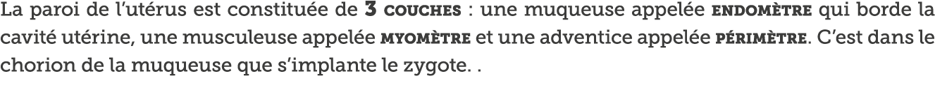 La paroi de l ut rus est constitu e de 3 couches : une muqueuse appel e endom tre qui borde la cavit  ut rine, une mu   
