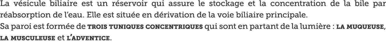 La v sicule biliaire est un r servoir qui assure le stockage et la concentration de la bile par r absorption de l eau   