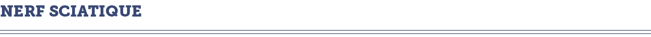nerf sciatique