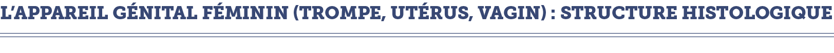 L appareil g nital f minin (trompe, ut rus, vagin) : Structure histologique 