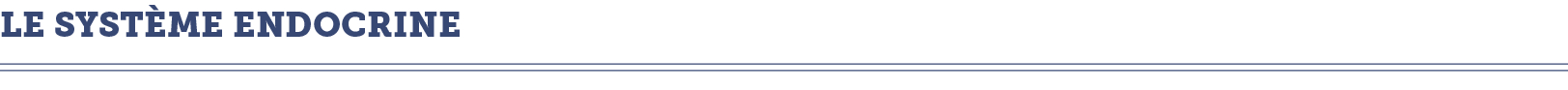 Le syst me endocrine 