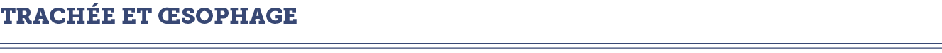 Trach e et  sophage