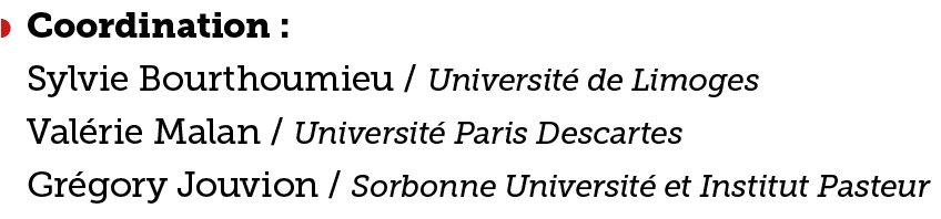   Coordination :  Sylvie Bourthoumieu   Universit  de Limoges  Val rie Malan   Universit  Paris Descartes  Gr gory Jo   