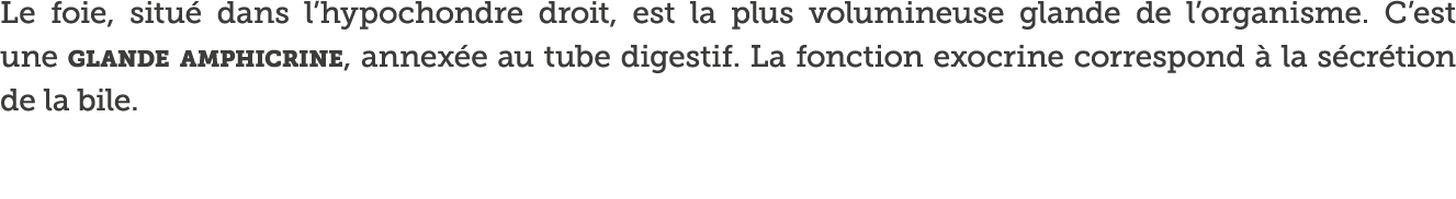 Le foie, situ  dans l hypochondre droit, est la plus volumineuse glande de l organisme  C est une glande amphicrine,    