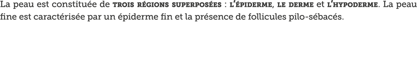 La peau est constitu e de trois r gions superpos es : l  piderme, le derme et l hypoderme  La peau fine est caract ri   