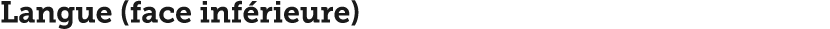 Langue (face inf rieure)