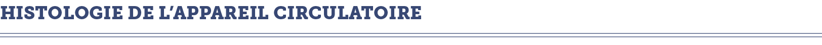 HISTOLOGIE DE L APPAREIL CIRCULATOIRE 