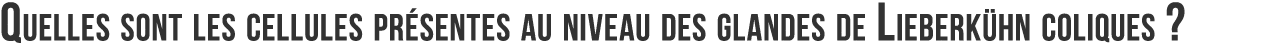 Quelles sont les cellules pr sentes au niveau des glandes de Lieberk hn coliques  