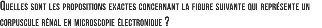 Quelles sont les propositions exactes concernant la figure suivante qui repr sente un corpuscule r nal en microscopie   