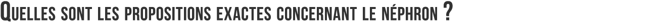 Quelles sont les propositions exactes concernant le n phron  