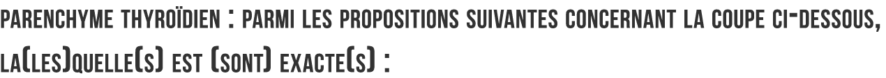 parenchyme thyro dien   parmi les propositions suivantes concernant la coupe ci-dessous  la les quelle s  est  sont     
