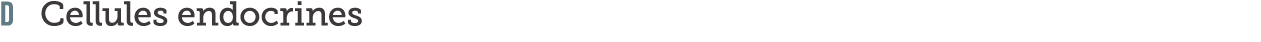 D Cellules endocrines