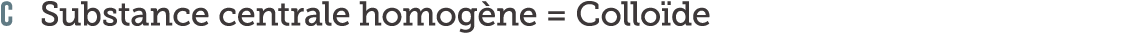 C Substance centrale homog ne   Collo de