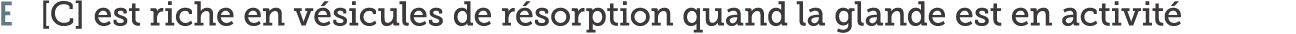E  C  est riche en v sicules de r sorption quand la glande est en activit 